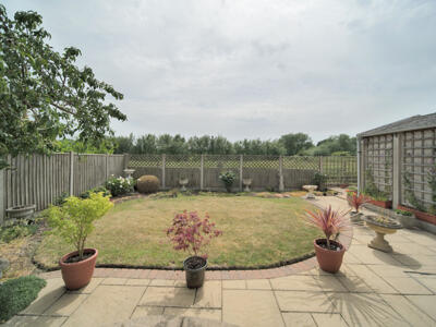 Picture 13